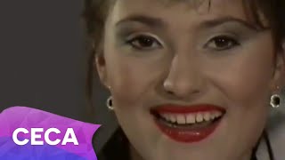 Ceca  Sve u svoje vreme  Official Video 1990 [upl. by Trebeh]