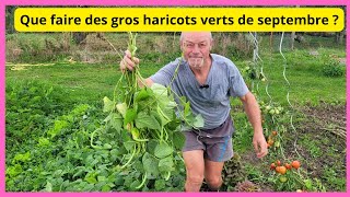 Que faire de vos gros haricots verts de septembre avant quils pourrissent [upl. by Hoo]