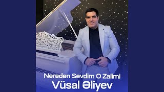 Nereden Sevdim O Zalimi [upl. by Enelyak]