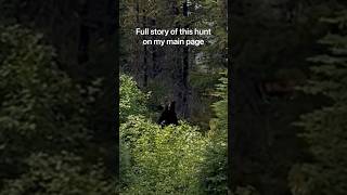 Surviving a Grizzly Bear Charge Challenged by an Angry Bear After Elk Kill  Watch the Encounter [upl. by Milewski]