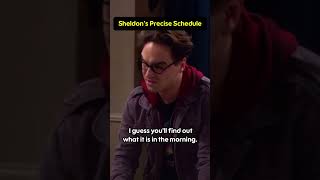 Sheldon’s Precise Schedule bigbangtheory funny sheldon [upl. by Arem100]