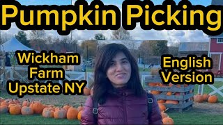 My Visit to a Farm near Rochester NY for Pumpkin Picking Me as tour guide in English [upl. by Redienhcs]