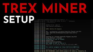 TRex miner Configuration and Setup  How To Use T Rex Miner Tutorial [upl. by Eelnodnarb]