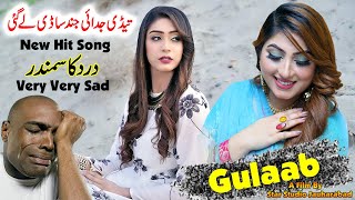 Mur ve Mahiya  Pichan Mur Vy Dhola  Gulaab Official Video  Tahir Mehmood Nayyer Song  gulaab [upl. by Madian184]