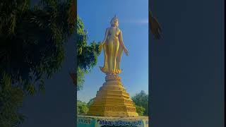 Stachu  famous stachu travel stachu artist buddha vlog viralshort gold knowledgewithfun [upl. by Torey]