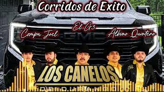 🎼🔥El Compa JoelAlbino QuinteroEl G3 Los Canelos de Durango🔥🎼Puro Corrido🥃🧊 [upl. by Rawlinson45]