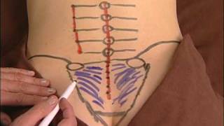 Anatomy Drawing of the Sacroiliac Ligaments [upl. by Mya612]