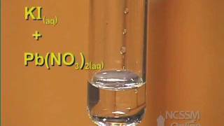 Double Displacement Lead Nitrate and Potassium Iodide [upl. by Leahci]