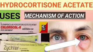 Dexamethasone and chloramphenicol eye drops  Pyrimon eye drop Pyrimon drop  Renidex eye drop [upl. by Aney325]