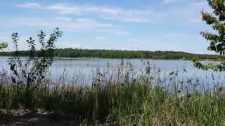 Bergwitzsee FKK Strand [upl. by Jemy922]