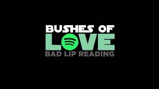 Bushes of Love Official Audio Version  Bad Lip Reading [upl. by Mina]