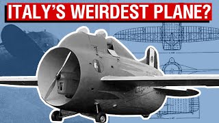 Italy’s Bizarre Flying Barrel  The Stipa Caproni Aircraft Overview 55 [upl. by Seilenna]