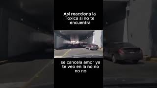 Así reacciona la Toxica si no te encuentra [upl. by Grinnell]