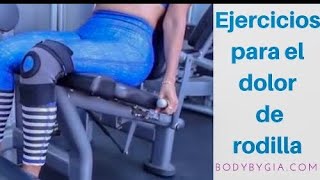 Ejercicios para elimina dolor de rodilla por completo  bodybygia [upl. by Nowaj]