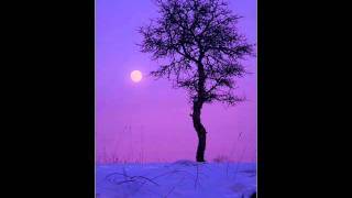 The Purple Twilight  Robert Longfield [upl. by Boff719]