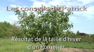 Résultat de la taille dhiver dun pommier [upl. by Iohk]