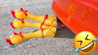 Rubber CHICKEN on a CAR Exhaust  shorts [upl. by Elohcan18]