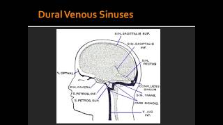 Dural Venous Sinuses  Anatomy [upl. by Jardena]