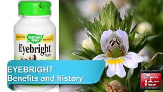 Benefits and history of Eyebright [upl. by Leiad518]