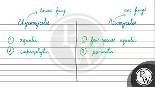 Write any three differences between phycomycetes and ascomycetes \ [upl. by Shamma]