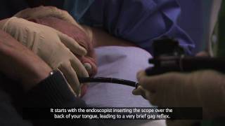 Bournemouth Digestive Diseases Centre Gastroscopy Procedure Subtitled [upl. by Kcirdnekel]