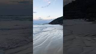 COOLUM BEACH 🏝️ Queensland Australia 🇦🇺 shorts short youtubeshorts beach queensland [upl. by Aliekahs]