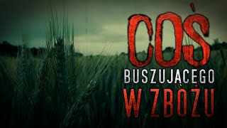 Coś buszującego w zbożu  CreepyPasta PL [upl. by Baryram]