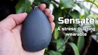 Sensate overview A stressbusting wearable [upl. by Salokkin723]