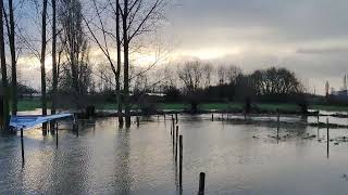 Parcours Hexia Cyclocross Gullegem onder water gelopen [upl. by Soo2]