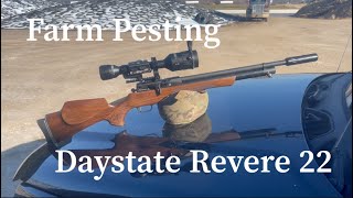 Pesting Video Daystate Revere 22 daystate daystaterevere daystateairguns farmpesting [upl. by Lesna]