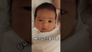 D11 딸꾹질하는 신생아😢 세리의 딸꾹질👶 Hiccuping Newborn Too Cute 신생아는 딸꾹질을 왜 할까요 궁금해서 저도 찾아봤어요 댓글참조💕 [upl. by Nwahsid]