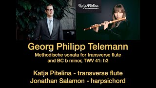 Georg Philipp Telemann quotMethodischequot Sonata for transverse flute and BC b minor TWV41h3 [upl. by Hertberg]