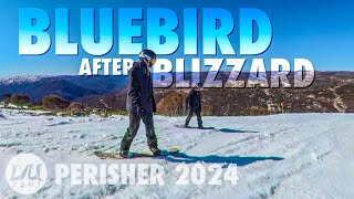 SPRING BLUEBIRD AFTER BLIZZARD – Perisher September 2024 [upl. by Eeluj]