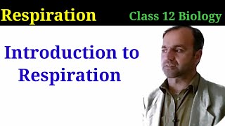 Introduction to respiration  Respiration  Types of Respiration  External amp Internal Respiration [upl. by Ainivad171]