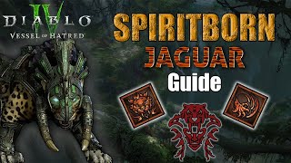 Diablo 4  Best Jaguar Spiritborn Build  Vessel of Hatred [upl. by Marcile860]