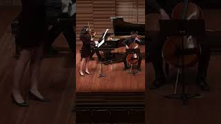 Violin cello and piano weave their way upward song chambermusic [upl. by Rubbico214]