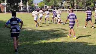 Lawn Tennis vs Uni M13 21124 UNI Jugando [upl. by Einamrej]