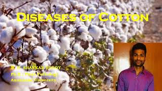 Diseases of Cotton  Cash Crops  Plant Pathology  Exam Oriented  NET 2021 [upl. by Gladdy]