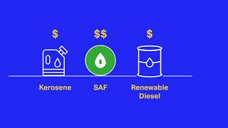 Sustainable Aviation Fuel Animation [upl. by Jenks]