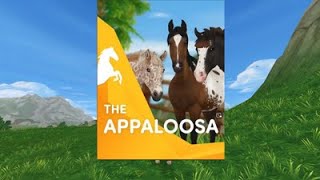 star stableAPPALOOSA TRAILER [upl. by Loats]