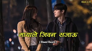 Mayale Jiwan Sajau SlowedReverb  Nepali Song  Music 210 [upl. by Dorinda412]