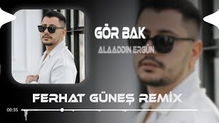 Alaaddin Ergün  Gör Bak  Ferhat Güneş Remix [upl. by Eniluqaj43]