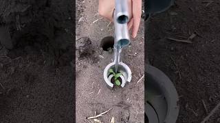 Metal seedling transplanting hole puncher Corn seedling transplanter [upl. by Dina]