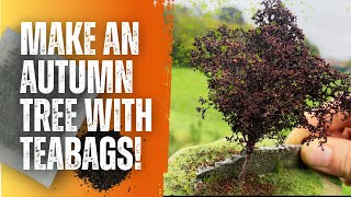 How to turn TEABAGS into model tree leaves [upl. by Abie]