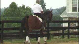 Find The Lameness in the horse wwwscienceofmotioncom [upl. by Bahr953]