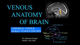 CEREBRAL VENOUS ANATOMY l RADIOLOGY l DURAL VENOUS SINUSES l CEREBRAL VEINS l MR VENOGRAPHY [upl. by Calesta]