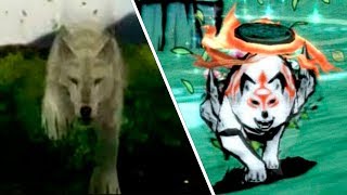 Okami Realistic Prototype Comparisson [upl. by Eurydice]