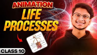 Class 10 Life process 1 SHOT🔥 Animation🔥 [upl. by Franza]