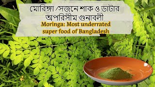 মোরিঙ্গা সজনে শাক ও ডাটার অপরিসীম গুনাবলী  Moringa most underrated super food of Bangladesh [upl. by Nus]