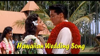 ELVIS PRESLEY  Hawaiian Wedding Song  New Edit  4K [upl. by Appilihp]